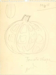 orr_tomato_haldedward1958