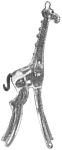pirg1959_p16e_giraffe