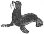 pirg1959_p17b_sealion