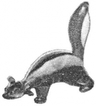 pirg1959_p17f_skunk