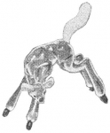 pirg1959_p17j_lamb