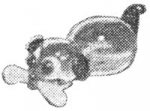 pirg1959_p17m_dogbone