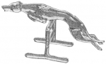 pirg1959_p17n_greyhound