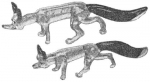 pirg1959_p17p_fox2