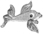pirg1959_p17r_fish