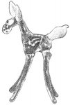 pirg1959_p18n_mule