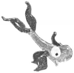 pirg1959_p18q_fish