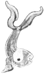 pirg1959_p18r_fish2