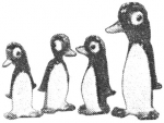 pirg1959_p18s_penguins