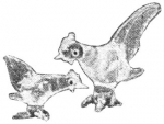 pirg1959_p18v_chicken