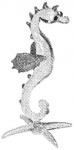 pirg1959_p19e4_seahorse