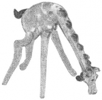 pirg1959_p19f_giraffesmall