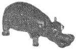 pirg1959_p19g_hippo
